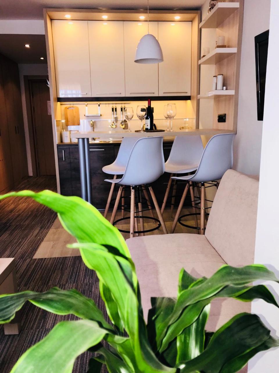 Tim 135 Konaci-Angella Centar Appartement Kopaonik Buitenkant foto